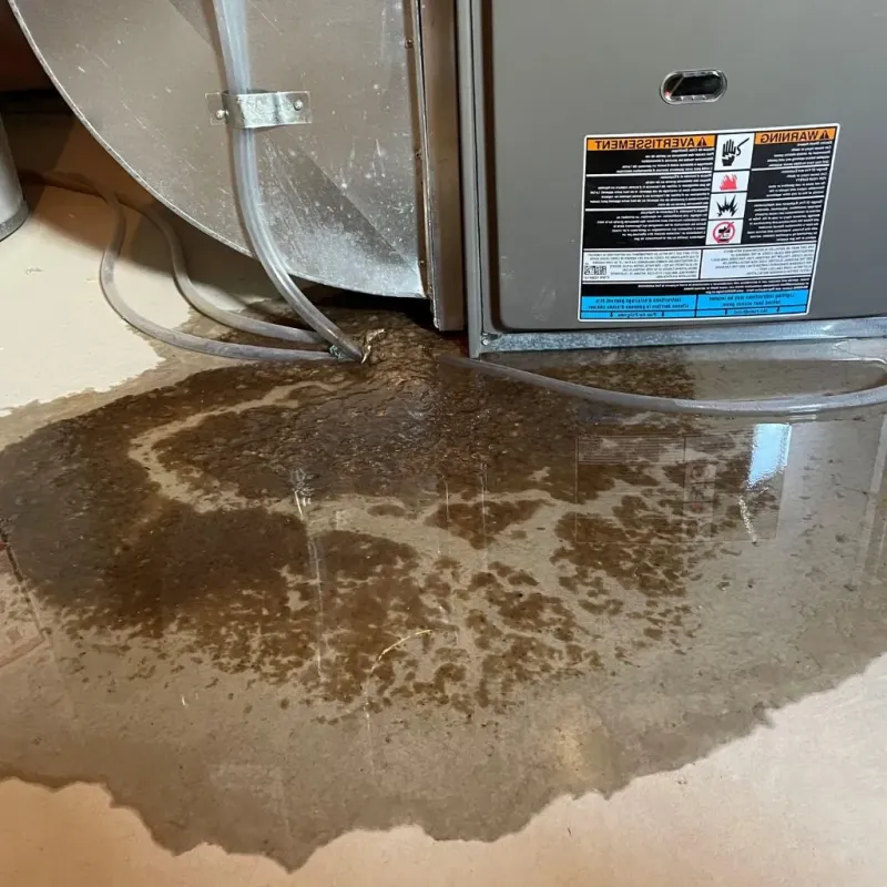 Pipe Burst and Leak Restoration in Jefferson County, GA