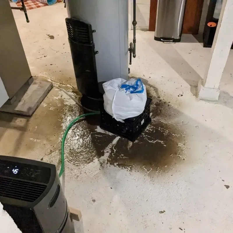 Sewage Backup Cleanup Service in Jefferson County, GA